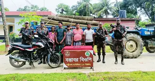 নওগাঁ সীমান্তে কাঠ পাচারের সময় বিজিবির হাতে আটক ৫